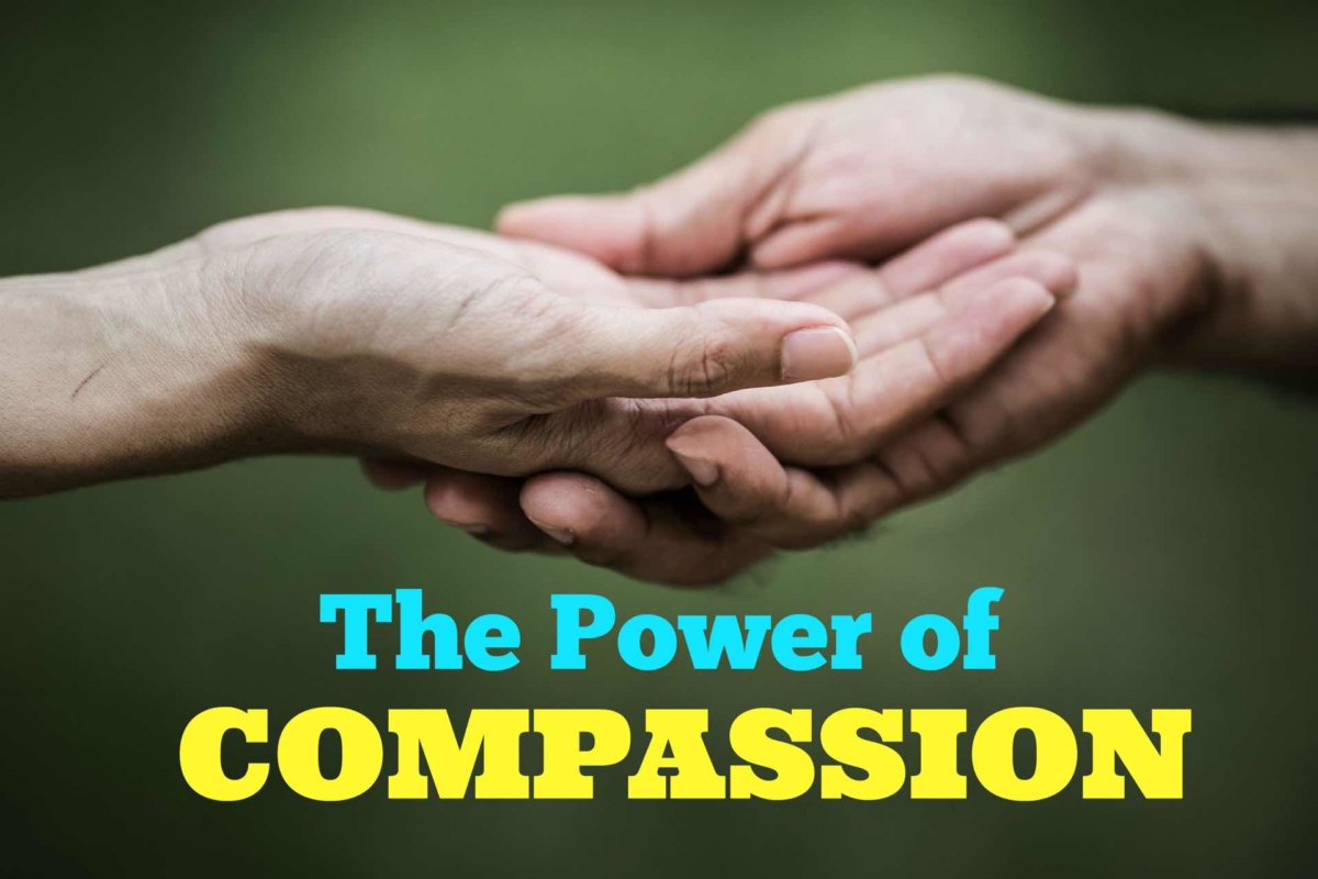 Using Compassion to fight Bullying and Harassment - Fiore Group Training