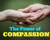 Using Compassion to fight Bullying and Harassment