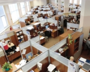 Safety Culture at work