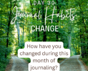 day 30 journal