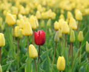 charisma image for leadership article phil eastwood