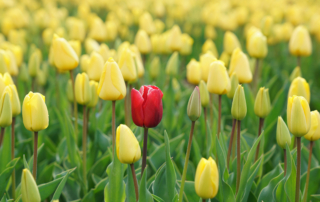 charisma image for leadership article phil eastwood