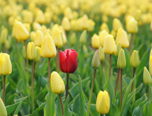 Charisma Is a Trainable Skill